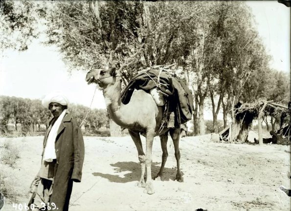 МАЭ № 4060-369-1 (1)