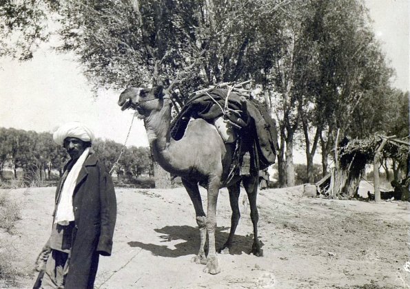 МАЭ № 4060-369-1 (2)