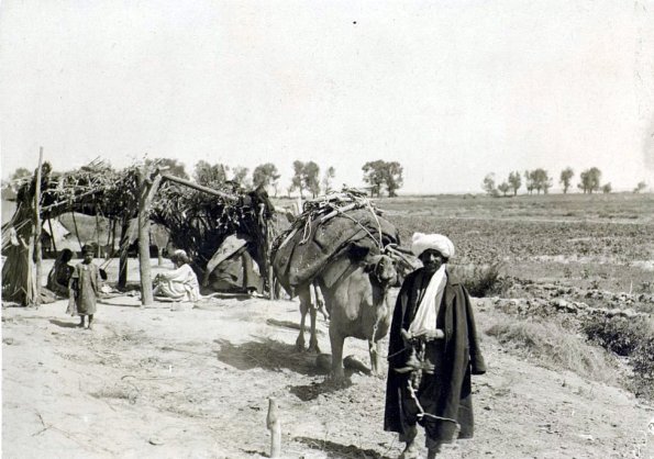 МАЭ № 4060-370 (2)