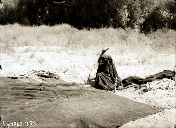 МАЭ № 4060-373-1 (1)