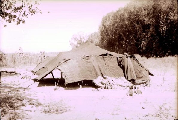 МАЭ № 4060-374-1 (1)