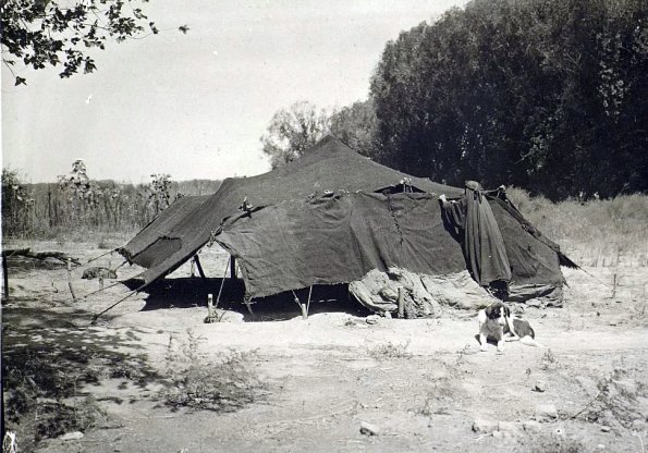 МАЭ № 4060-374-1 (2)