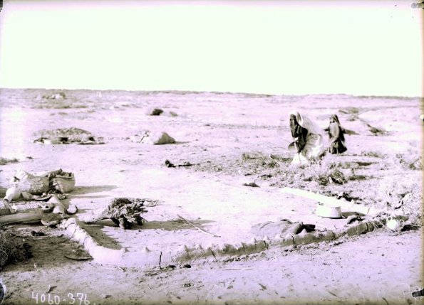 МАЭ № 4060-376-1 (1)