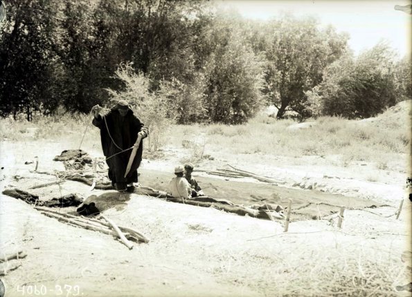 МАЭ № 4060-379 (1)