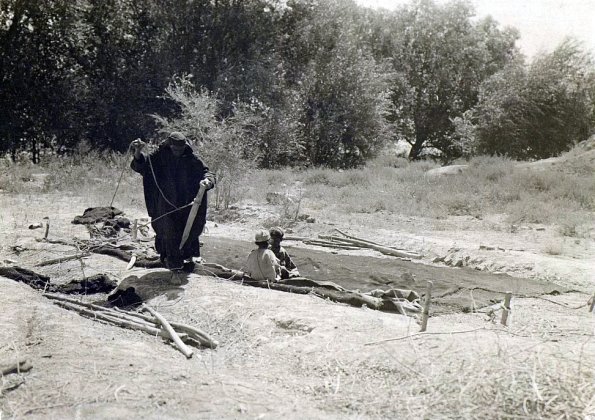 МАЭ № 4060-379 (2)