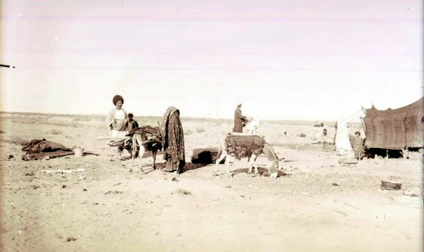 МАЭ № 4060-380 (1)