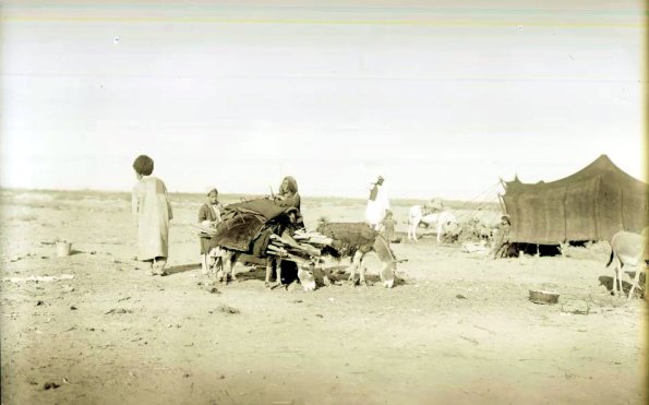 МАЭ № 4060-381 (1)