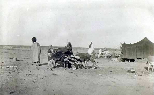 МАЭ № 4060-381 (2)