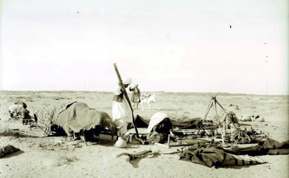 МАЭ № 4060-383-1 (1)