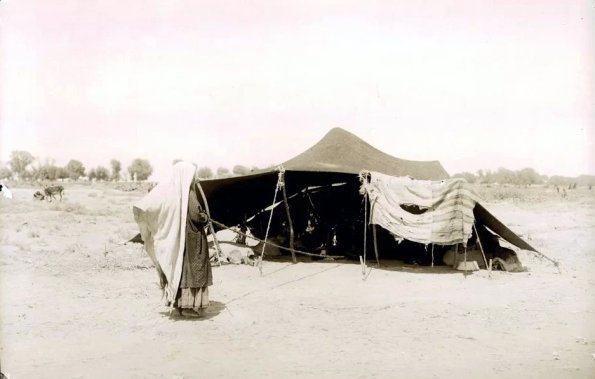 МАЭ № 4060-392 (1)