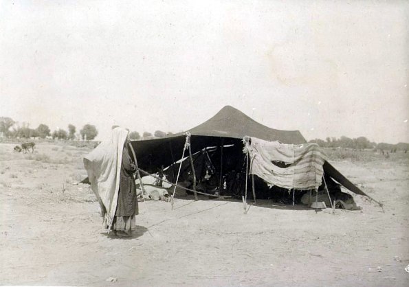 МАЭ № 4060-392 (2)