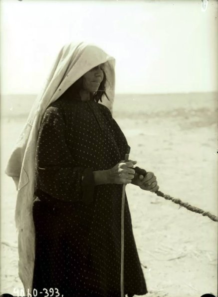 МАЭ № 4060-393 (1)