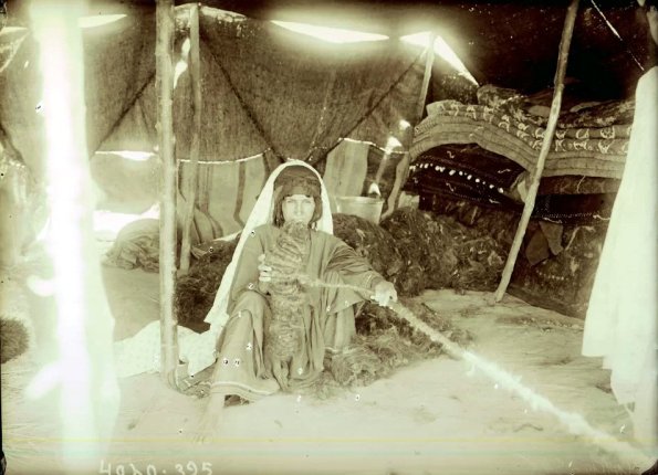 МАЭ № 4060-395 (1)