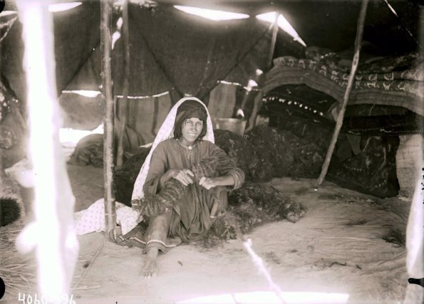 МАЭ № 4060-396 (1)