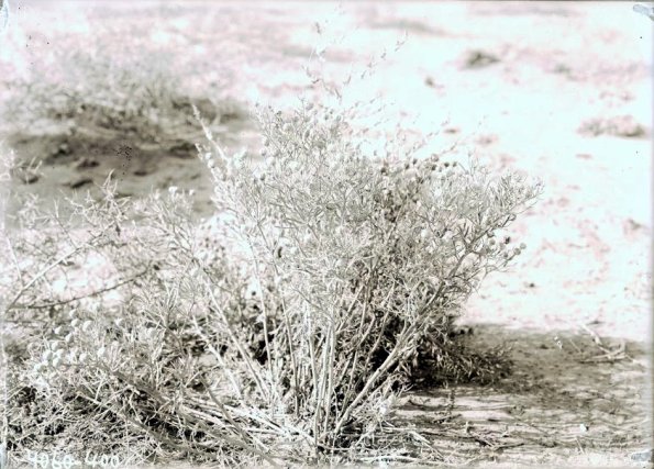 МАЭ № 4060-400 (1)