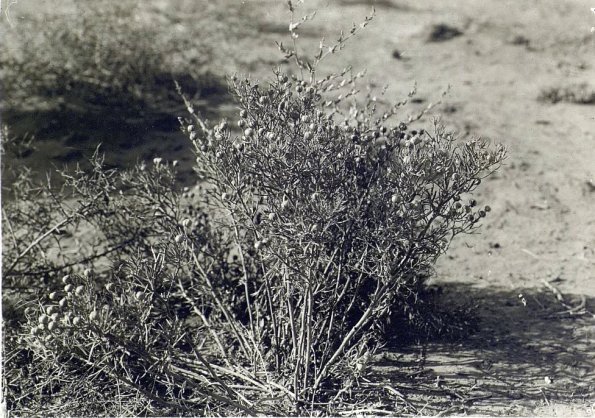 МАЭ № 4060-400 (2)