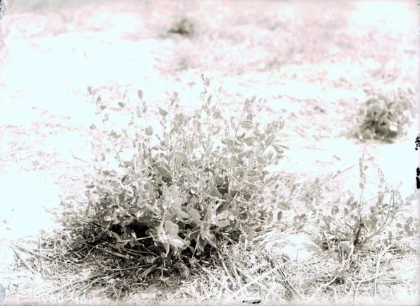 МАЭ № 4060-401 (1)