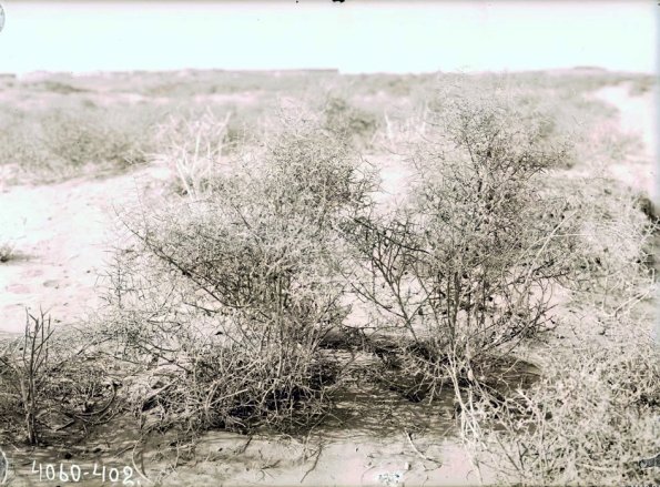 МАЭ № 4060-402 (1)