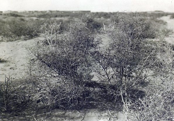 МАЭ № 4060-402 (2)