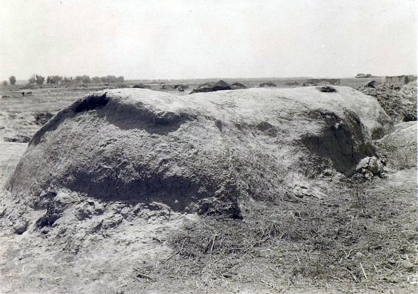 МАЭ № 4060-411 (2)