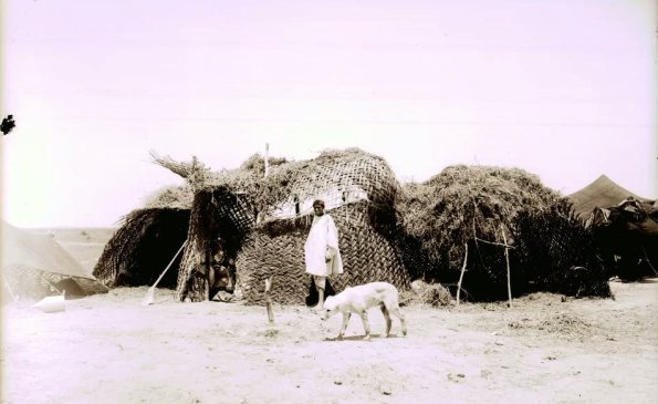 МАЭ № 4060-431 (1)