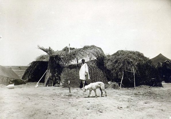 МАЭ № 4060-431 (2)