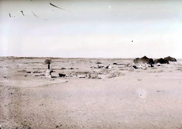 МАЭ № 4060-438 (1)