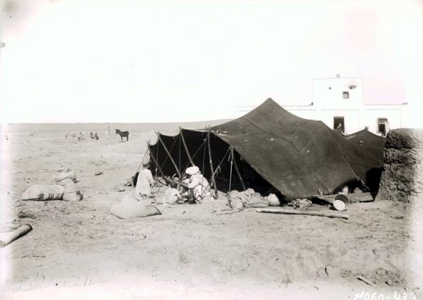 МАЭ № 4060-439 (1)