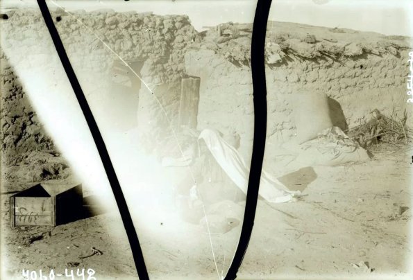 МАЭ № 4060-442 (1)