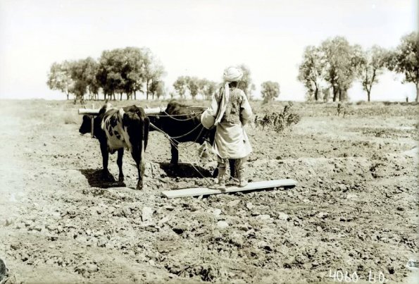 МАЭ № 4060-60 (1)