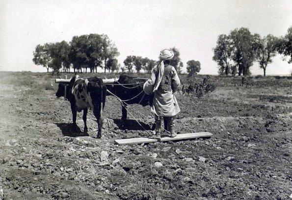 МАЭ № 4060-60 (2)