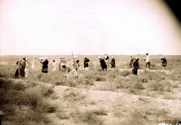 МАЭ № 4060-65 (1)