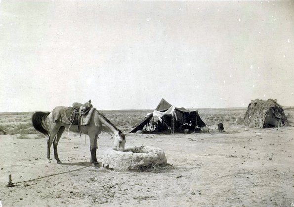 МАЭ № 4060-88-1